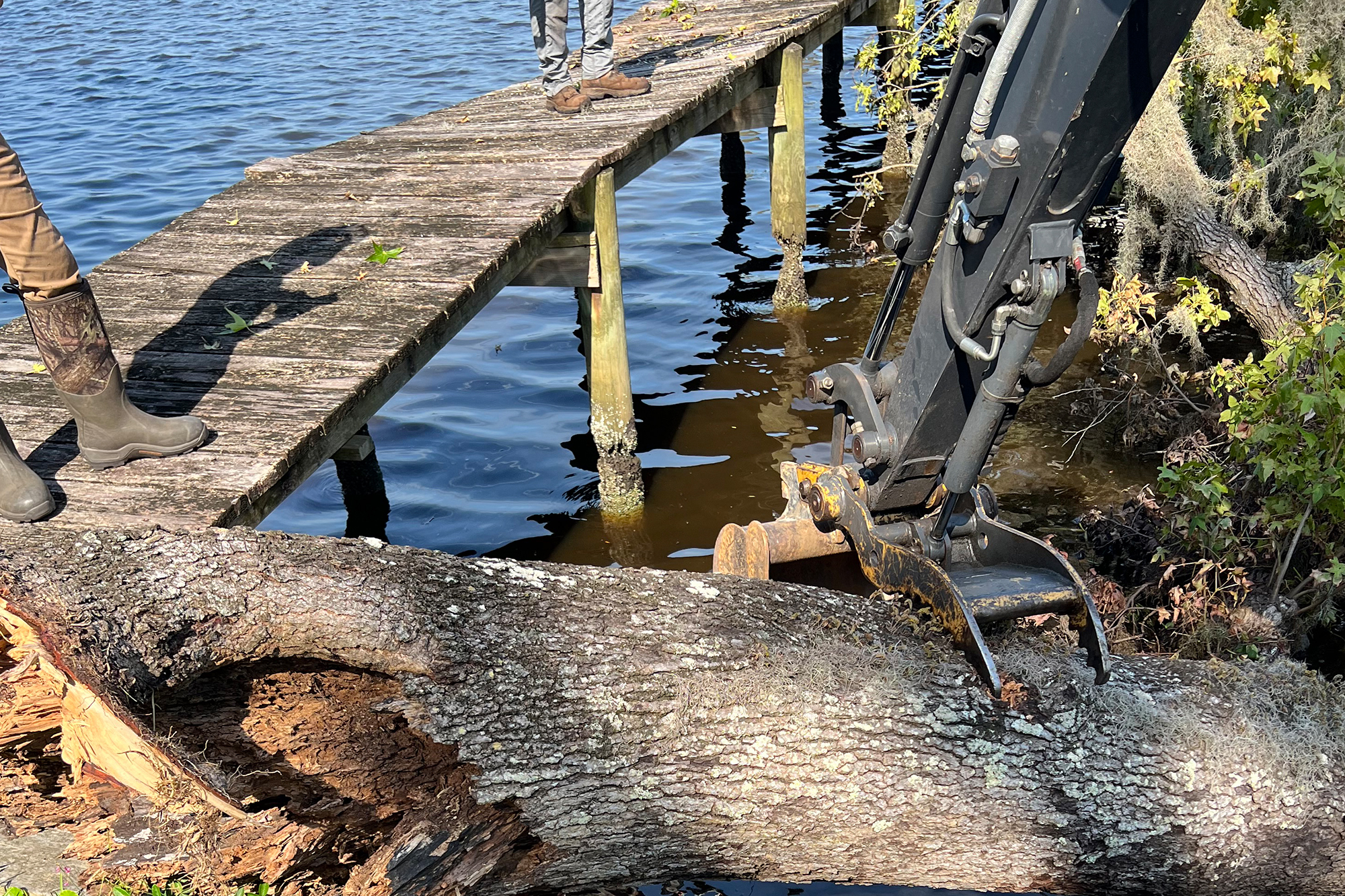 Backhoe Log Grapple Picks Up Fallen Tree On The Lake