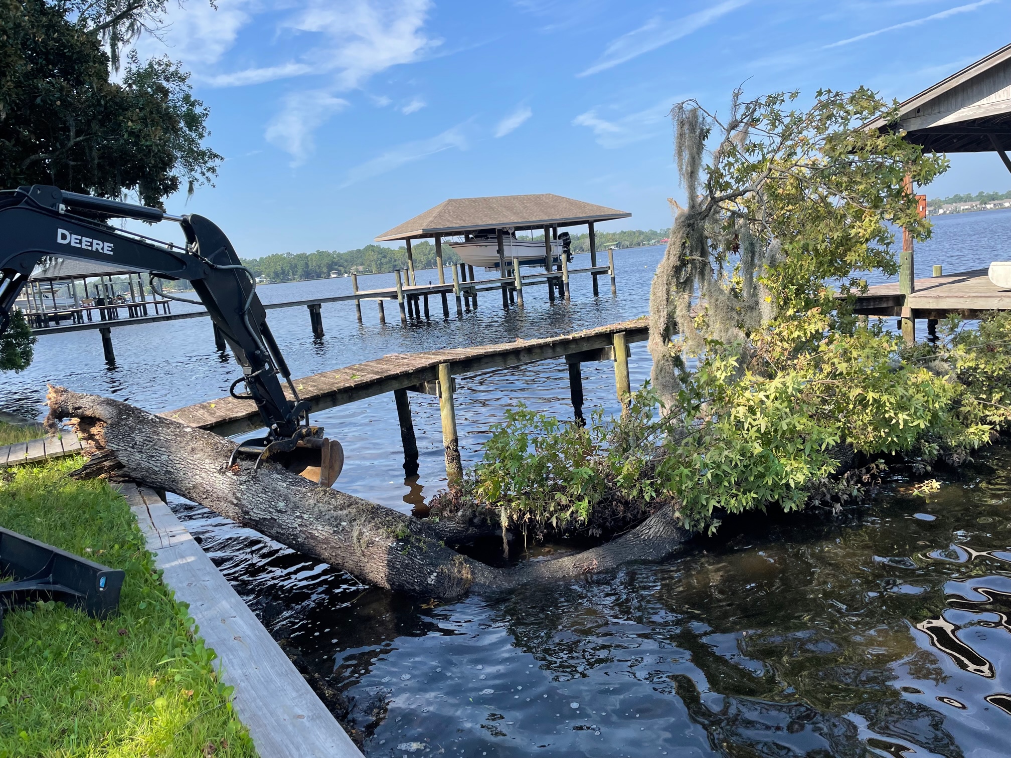 Removing Fallen Tree On The Lake