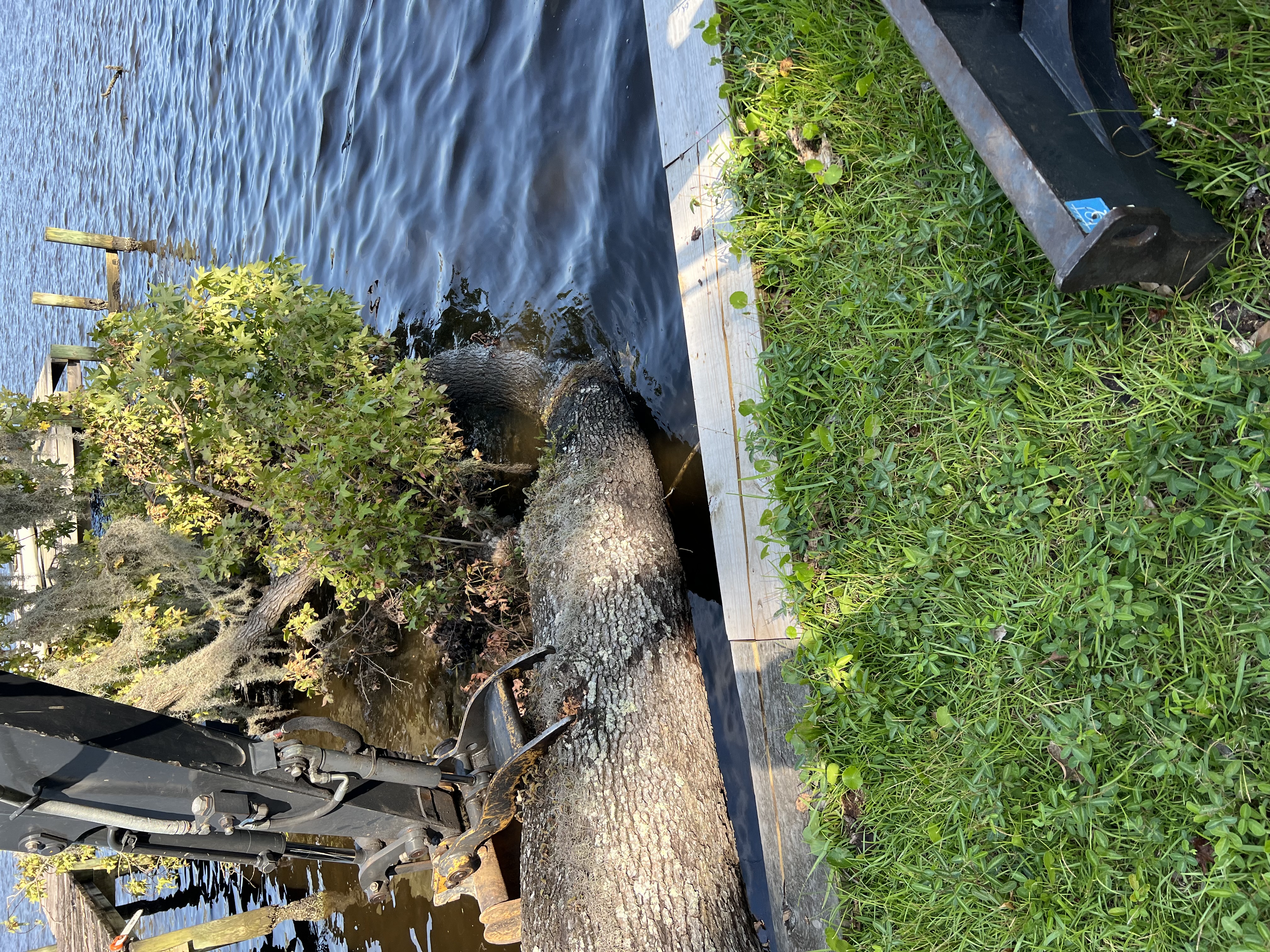 Picking Up Tree Branches Using A Backhoe Log Grapple